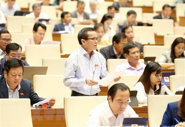 Đại biểu Quốc hội tỉnh Đắk Nông Võ Đình Tín phát biểu. (Ảnh: Phương Hoa/TTXVN)