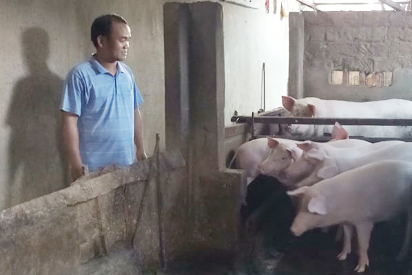 Mức vay QĐVCĐN còn thấp khiến NLĐ gặp nhiều khó khăn trong việc đầu tư phát triển kinh tế.