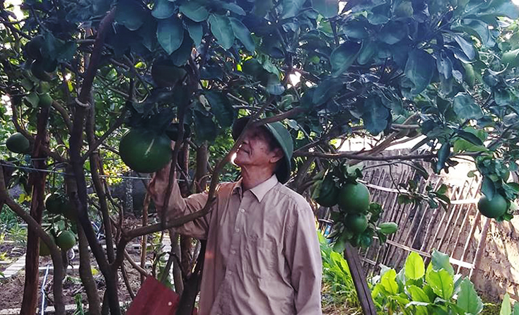 Ông Nguyễn Văn Đính, thôn Văn La, xã Lương Ninh xây dựng vườn mẫu.