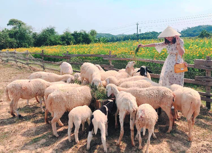 Mô hình du lịch cộng đồng của anh Trần Tuấn Hải, xã Hưng Trạch, huyện Bố Trạch thu hút đông đảo khách du lịch.