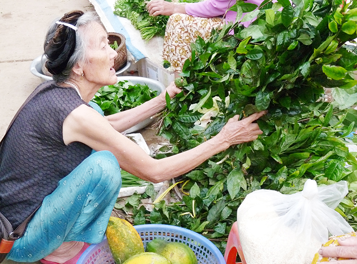 Ảnh: Tiến Hành