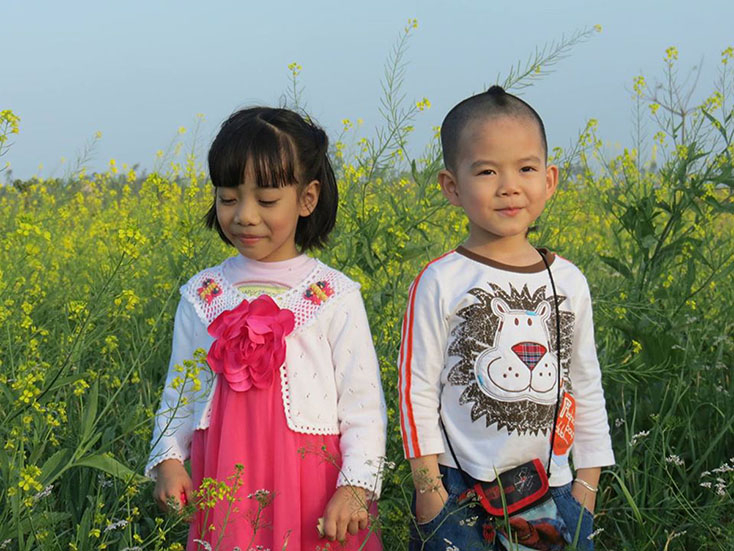 Đồng làng mùa xuân.
