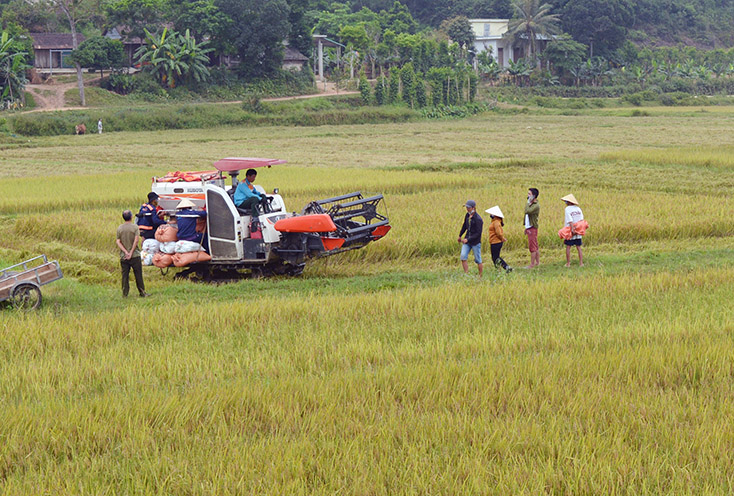 Bố Trạch ưu tiên phát triển nông nghiệp công nghệ cao, ứng dụng khoa học công nghệ vào sản xuất. 