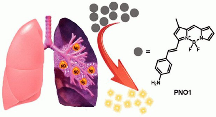 Nguồn: x-mol.com)