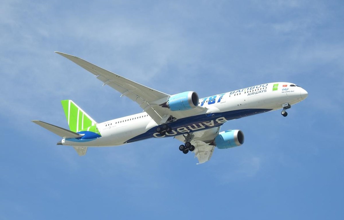Sau đúng một năm cất cánh, lợi nhuận trước thuế của hãng hàng không Bamboo Airways đạt 303 tỷ đồng trong năm 2019 ước. (Ảnh: CTV/Vietnam+)