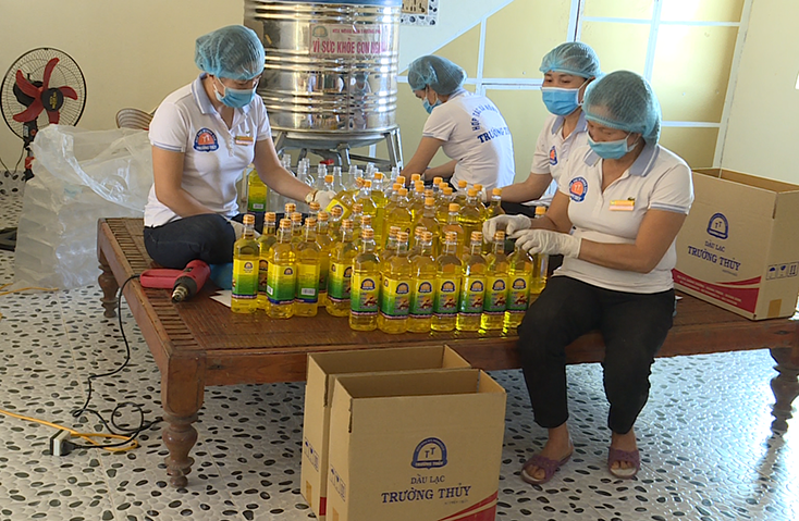 Những ngày giáp Tết, trung bình mỗi ngày cơ sở miến gạo của anh Lê Phúc Đông sản xuất trên 2 tạ miến.