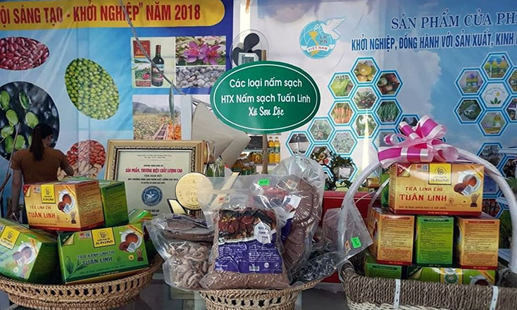 Sản phẩm trà rau má Tuấn Linh và trà nấm linh chi Tuấn Linh được công nhận sản phẩm OCOP cấp tỉnh.