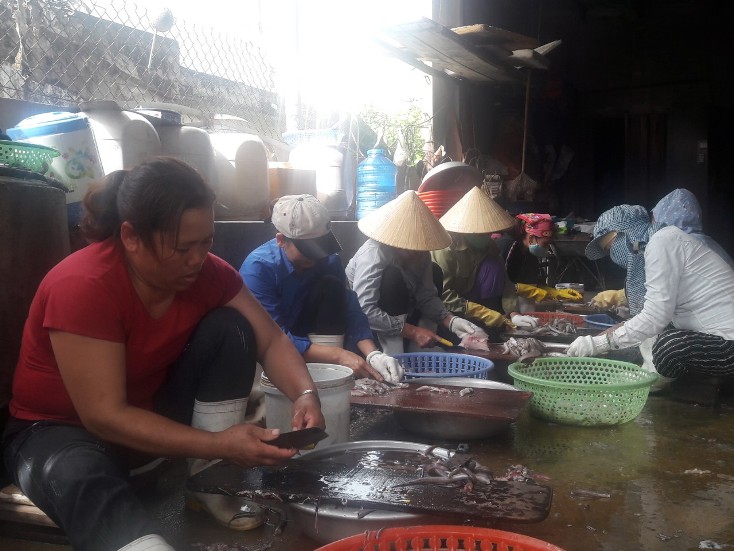 Nhờ nguồn vốn ưu đãi, các cấp Hội Phụ nữ xây dựng nhiều mô hình phát triển kinh tế hiệu quả.