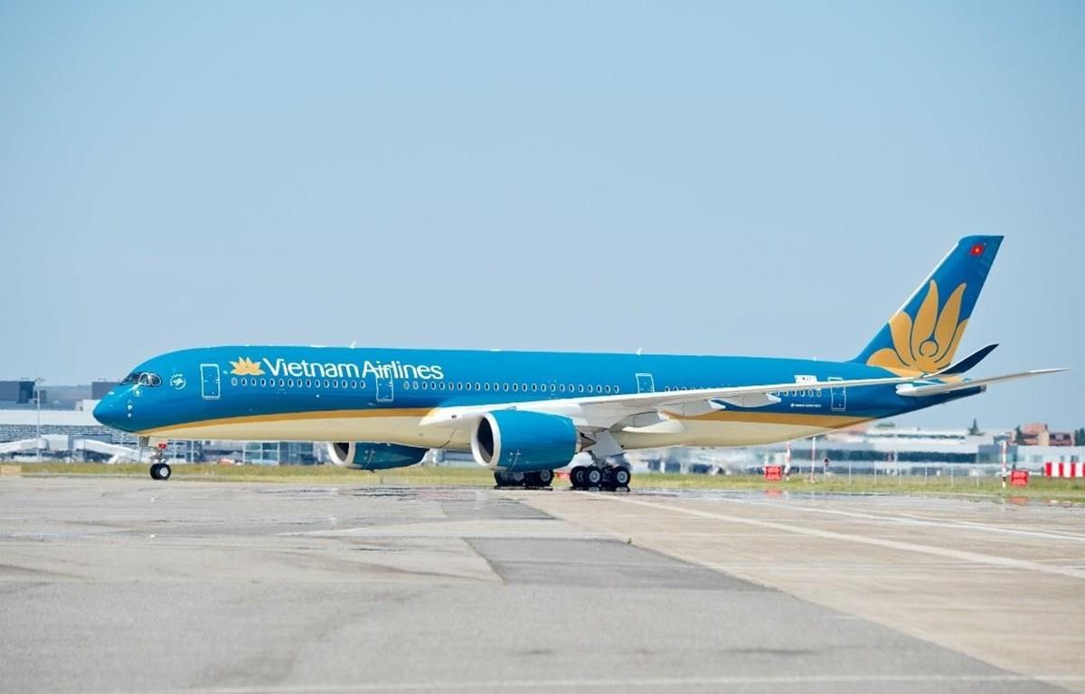 Máy bay của hãng hàng không Vietnam Airlines. (Ảnh: Anh Tuấn/Vietnam+)