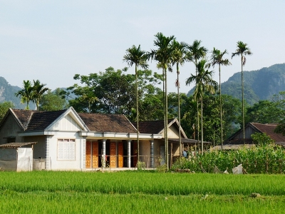 Nét quê. Ảnh: Tiến Hành