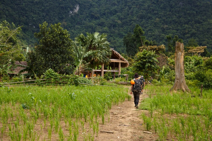 Trên đường vào bản Đoòng.