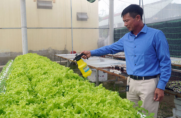 Anh Nguyễn Hữu Việt chăm sóc vườn rau 