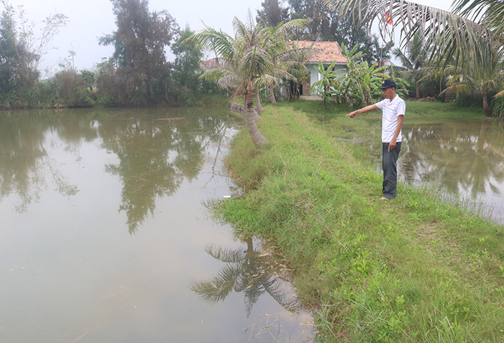 Thửa đất mà ông Nguyễn Văn Lào  "tố " cán bộ Văn phòng Đăng ký đất đai thị xã Ba Đồn không ký hiệu loại đất ở và đất vườn vào bản vẽ thửa đất số 631, tờ bản đồ số 9, thuộc phường Quảng Phúc, thị xã Ba Đồn của gia đình ông. 