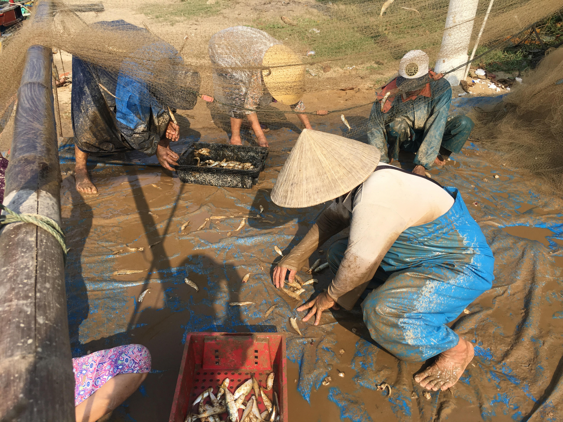 Hải Ninh là một xã bãi ngang còn nhiều khó khăn, việc gia tăng tỷ lệ sinh con thứ 3 sẽ là  