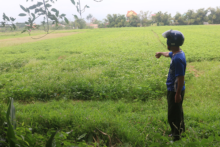 Vị trí thửa đất của ông Lê Văn Dưỡng, trú tại thôn Xuân Dục 1, xã Xuân Ninh, huyện Quảng Ninh đã xảy ra tranh chấp vì chồng lấn  