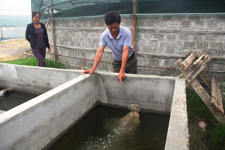 Nguồn nước thải khi nuôi tôm được chảy tuần hoàn qua các bể lắng, lọc để xử lý đạt điều kiện mới được thải ra.