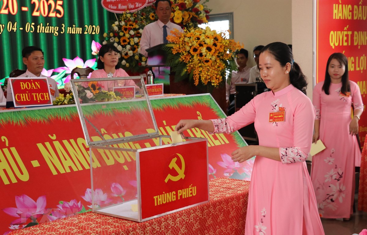 (Ảnh minh họa: Bùi Giang/TTXVN)