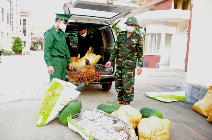 Cán bộ, chiến sĩ Đồn Biên phòng Lý Hòa chở rau, củ, quả và gia súc, gia cầm đến hỗ trợ người dân khu cách ly. 