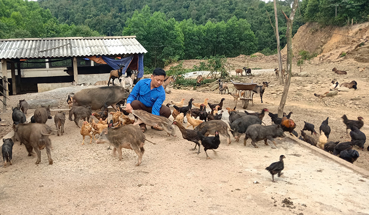  Nhờ mô hình trang trại tổng hợp, anh Phạm Minh Khôi thu về lợi nhuận 250 triệu đồng/năm. 