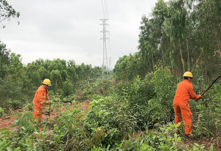 Công nhân Đội QLVH LĐCT phát quang hành lang tuyến đường dây.