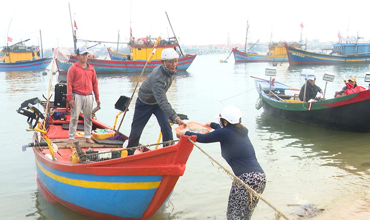 Mỗi chuyến câu mực mang lại cho người dân nguồn thu nhập từ 300.000-1.000.000 đồng. 