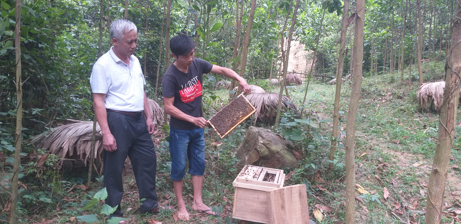 Nhiều mô hình sản xuất  mang lại hiệu quả cao trong công tác xóa đói giảm nghèo các địa phương