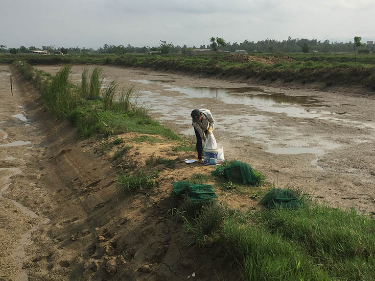 Bà con cần làm tốt công tác cải tạo ao, kiểm tra nguồn nước trước khi đưa con giống vào thả nuôi. 