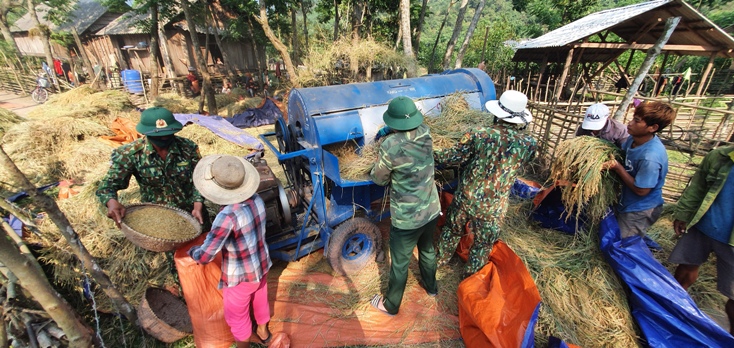 BĐBP đưa máy tuốt lúa vào phục vụ bà con.