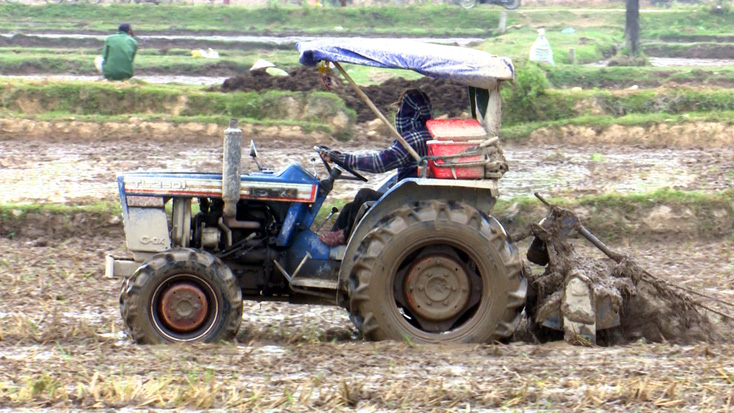 Nông dân Tuyên Hóa tích cực gieo trồng vụ hè thu