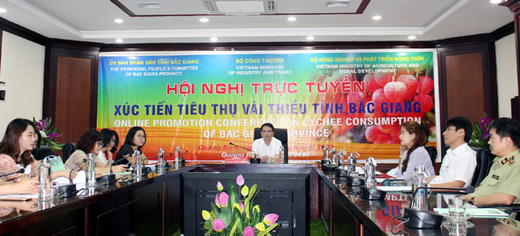 Các đại biểu tham gia hội nghị tại điểm cầu tỉnh Quảng Bình.