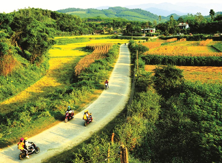 Bình yên một miền quê. Ảnh: Lê Thanh Thu