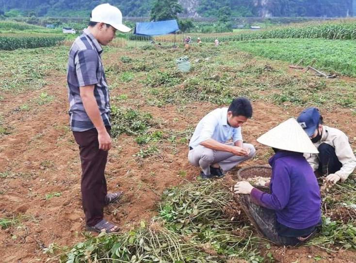   Từ chủ trương giao đất, giao rừng, bà con xã Trường Sơn mạnh dạn phát triển sản xuất, ổn định đời sống.