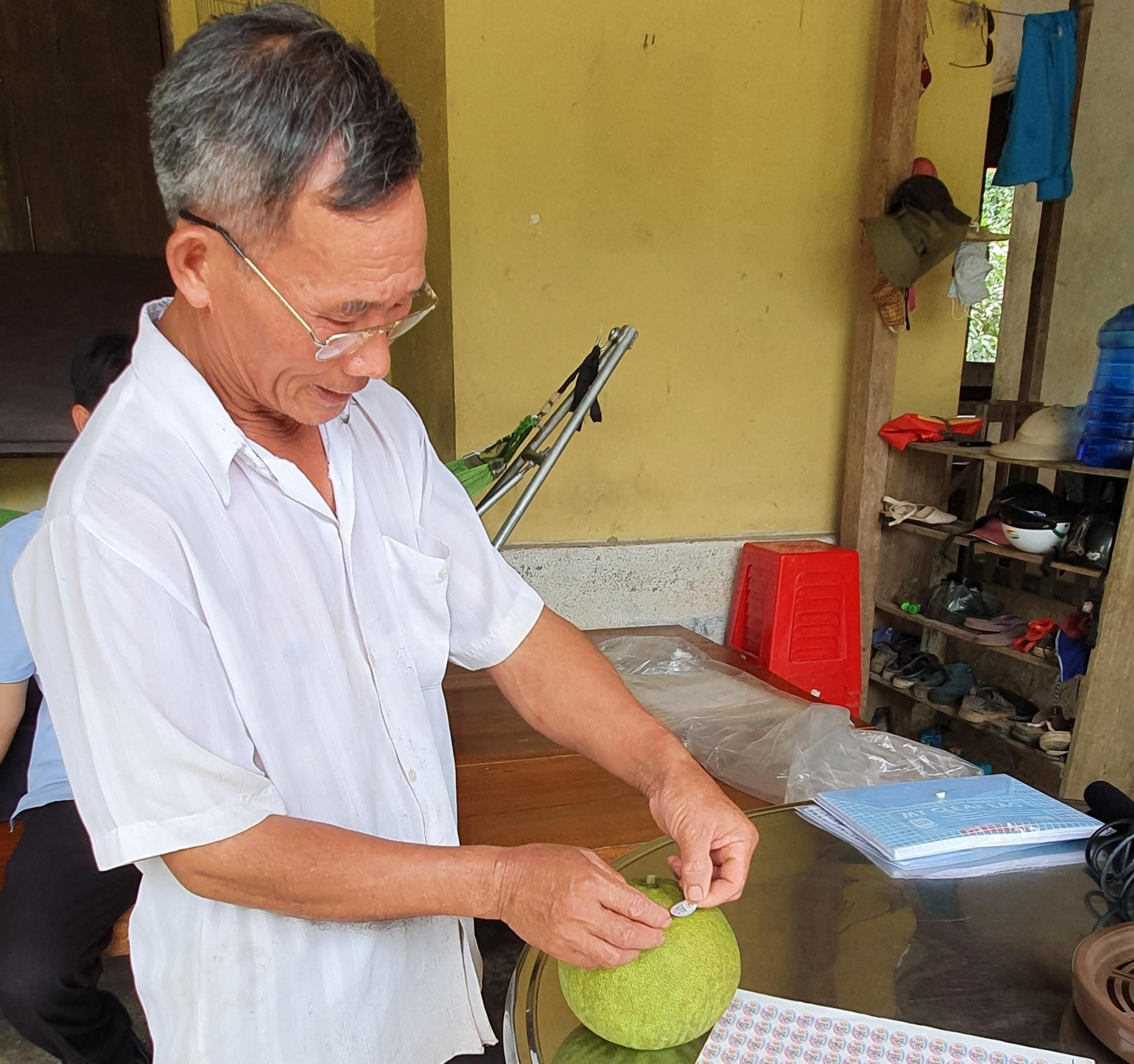   Bưởi của vườn nhà ông Minh đã có tem truy xuất nguồn gốc và chứng nhận sản phẩm đủ tiêu chuẩn VietGAP.