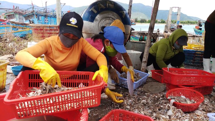  Tàu ra khơi đánh bắt giúp nhiều người dân có thêm việc làm.