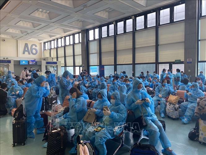 Việt Nam đón công dân về nước cách ly phòng dịch COVID-19. Ảnh: TTXVN
