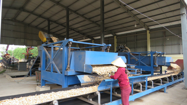Hoạt động sản xuất kinh doanh của Công ty Cổ phần Lệ Ninh có bước tăng trưởng tốt sau khi thực hiện cổ phần hóa doanh nghiệp