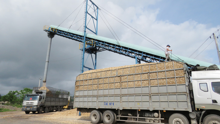 Hoạt động sản xuất kinh doanh của Công ty Cổ phần Lệ Ninh có bước tăng trưởng tốt sau khi thực hiện cổ phần hóa doanh nghiệp