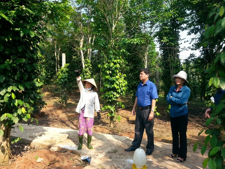    Nhiều nông dân đã biết phát huy nội lực, khai thác tiềm năng, thế mạnh của địa phương phát triển sản xuất, kinh doanh. 