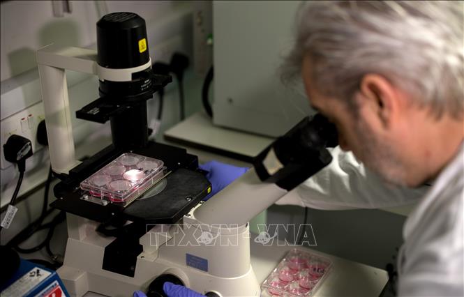  Chuyên gia nghiên cứu vaccine phòng COVID-19 trong phòng thí nghiệm tại London, Anh. Ảnh: AFP/TTXVN