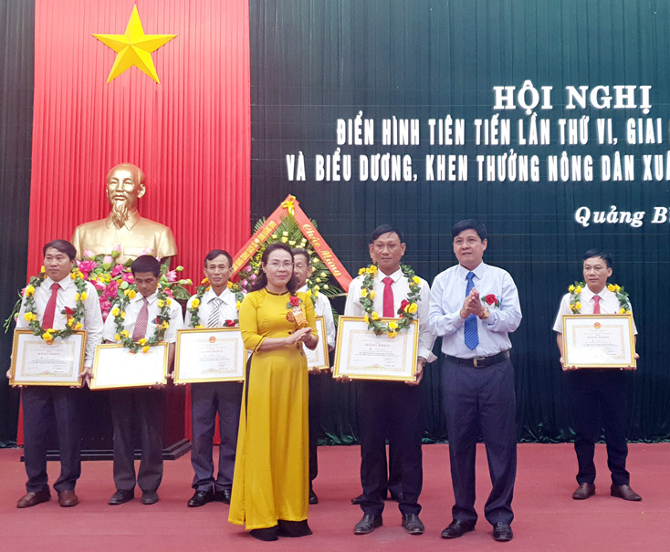 Trao tặng bằng khen của Chủ tịch UBND tỉnh cho các cá nhân. 