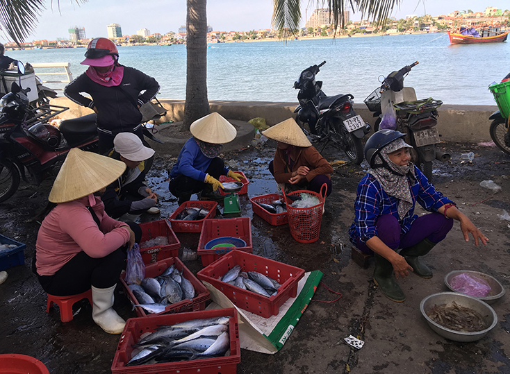 Cần đẩy mạnh tuyên truyền cho thương lái cam kết không thu mua hải sản từ khai thác IUU. 