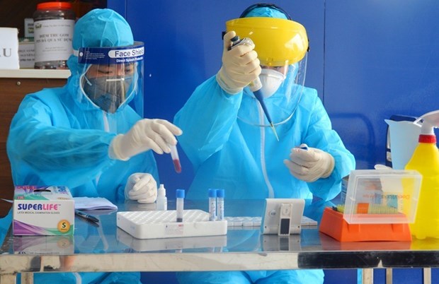 Xét nghiệm các mẫu máu để phát hiện các trường hợp mắc bệnh COVID-19. (Ảnh: TTXVN/Vietnam+)