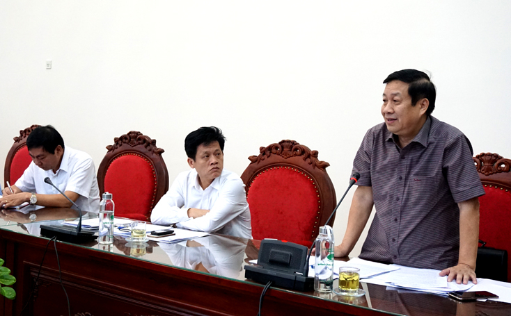 Đồng chí Nguyễn Xuân Quang, Phó Chủ tịch Thường trực UBND tỉnh phát biểu tại buổi làm việc.