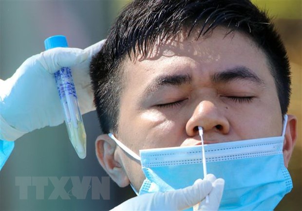 Các mẫu được lấy từ hầu họng và mũi của người được xét nghiệm. (Ảnh: Trần Lê Lâm/TTXVN)