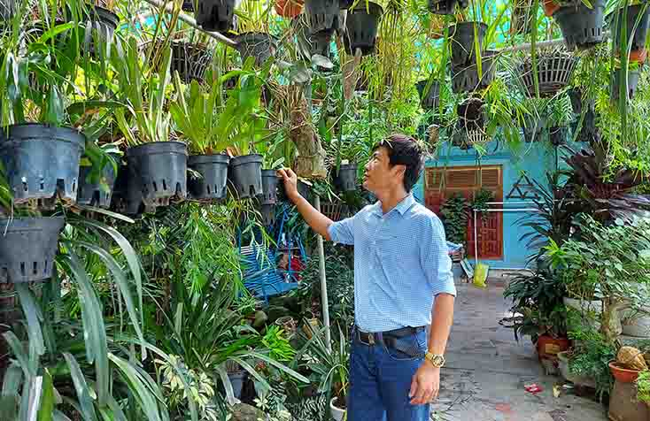 Nhiều mô hình kinh tế của nông dân Lệ Thủy phát huy hiệu quả, nâng cao thu nhập. 