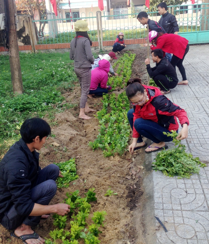 Đại Trạch xây dựng NTM kiểu mẫu từ những việc nhỏ, như: xây dựng đường hoa.