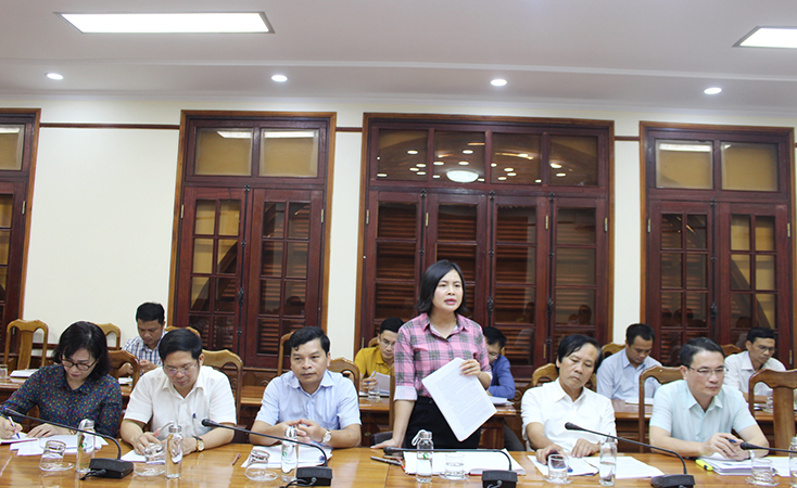 Đại diện lãnh đạo các sở, ngành, địa phương phát biểu ý kiến tại buổi làm việc.