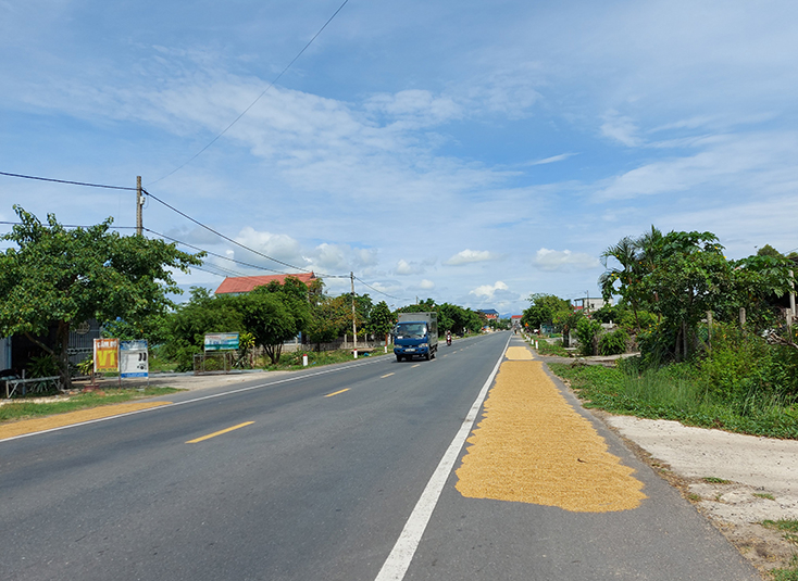 Phơi nông sản trên đường, nguy cơ gây TNGT.