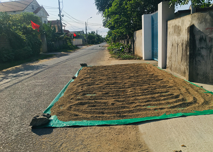 Rất nhiều tuyến đường bị người dân lấn chiếm để phơi nông sản, nguy cơ gây TNGT. 