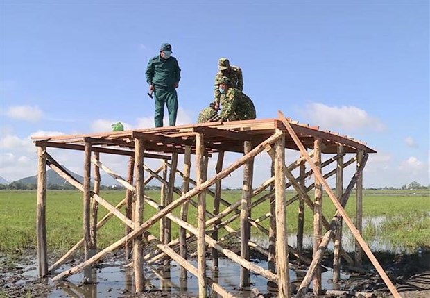 Trong ảnh: Xây dựng chốt chống dịch COVID-19 vùng biên giới An Giang theo mô hình nhà sàn vượt lũ. (Ảnh: Thanh Sang/TTXVN)